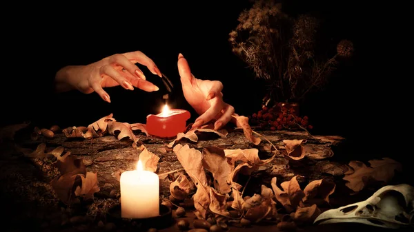 Bruxaria pagã. Mãos de bruxa fazendo passes acima de velas acesas entre ervas mágicas, folhas secas, bolotas e um crânio de pássaros no escuro, foco selecionado. — Fotografia de Stock
