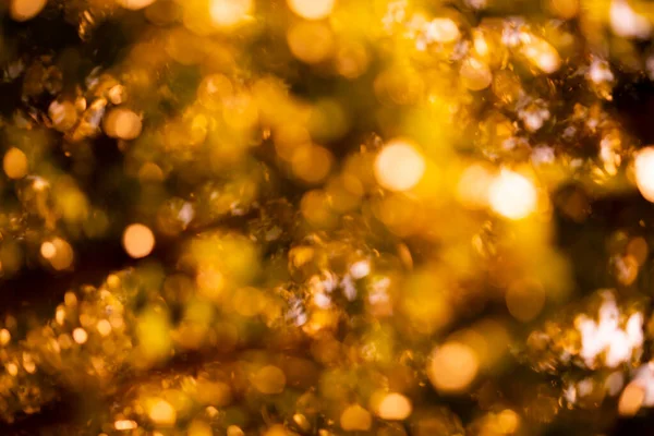 보케 가 밝게 황금빛으로 빛나며, 흐릿하고 부드럽게 초점을 맞춘다. 가을 과꿀 의금 주제. — 스톡 사진