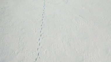 Sırt çantası ve kayak direkleri olan yalnız bir insan sonsuz karla kaplı zeminde yürür, insansız hava aracı görüşü. Kamera onun izini takip ediyor ve yürüyüşçüyü yakalıyor..
