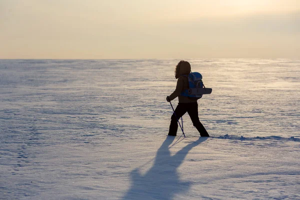 バックパックとスキーポールを持つ孤独な人間は、日没時に雪で覆われた平野を歩く、選択された焦点. — ストック写真