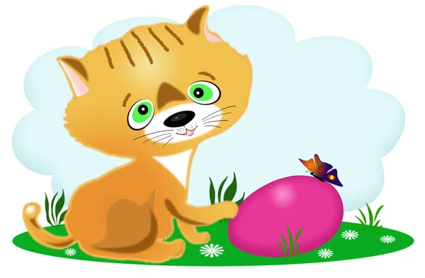 Kitten en een easter egg — Stockfoto