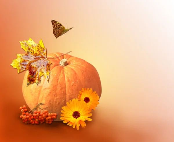 Thanksgiving Autumn Fall Border ribbons — Stock Photo © Irisangel #2143348