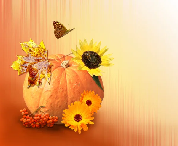 Autumn still-life — Stock Photo, Image