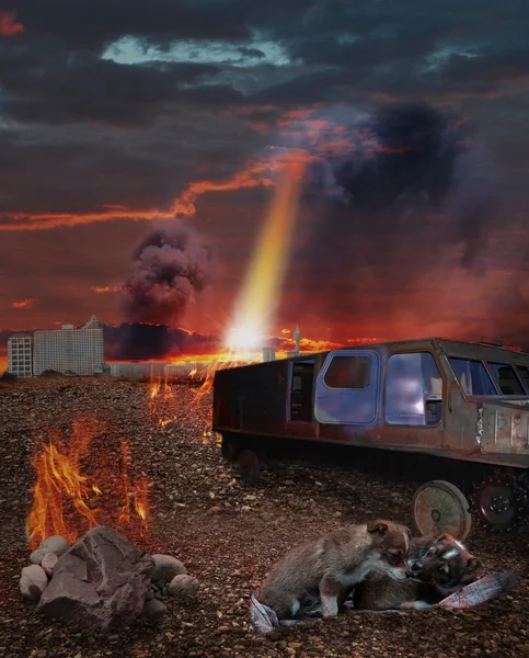 kıyametten sonra hayatta kalmak için