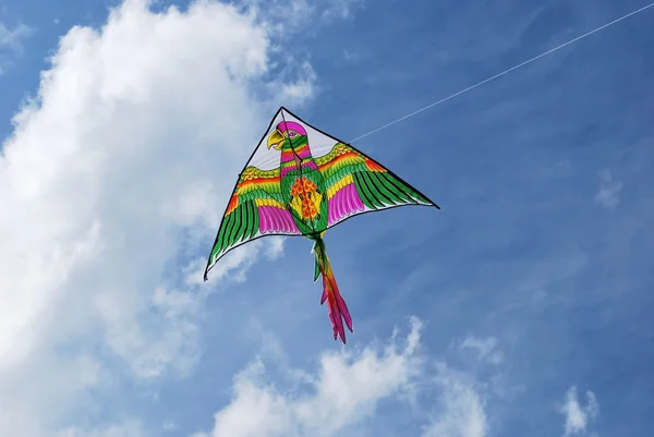 Bright kite — Stock Photo, Image