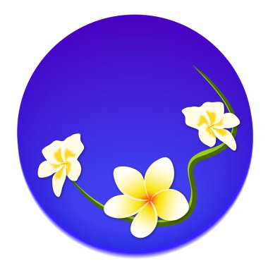 Frangipani tropik çiçekler