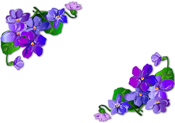 Ramo de violetas — Foto de Stock