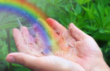 Rainbow in the hands clipart