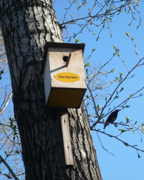 Starling evde bir etiketle — Stok fotoğraf
