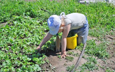 çim ayıklayacaktır yapan genç kız