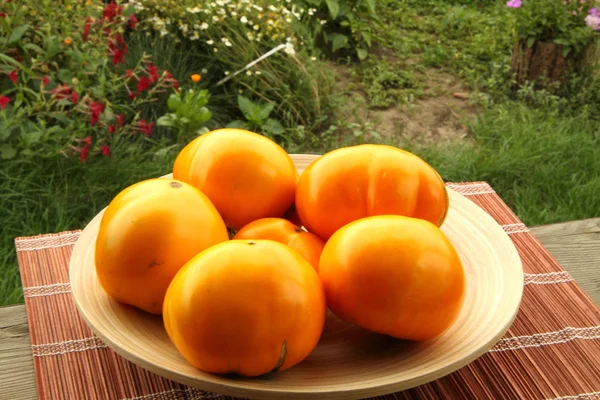 Pomarańczowy pomidory — Zdjęcie stockowe