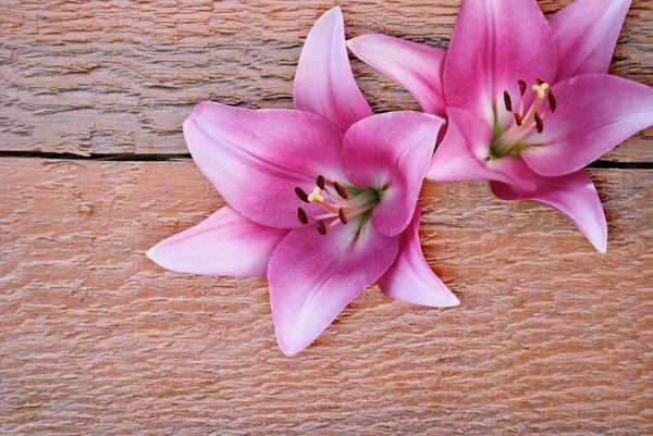 Δύο απαλό ροζ κρίνων σε μια τραχιά ξύλινη φόντο — Φωτογραφία Αρχείου