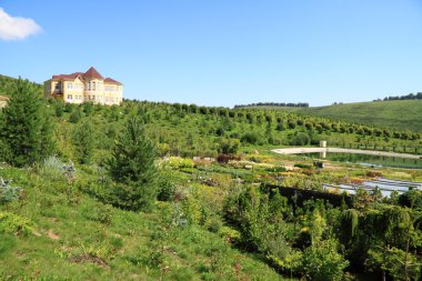 su deposu ile büyük dekoratif Bahçe