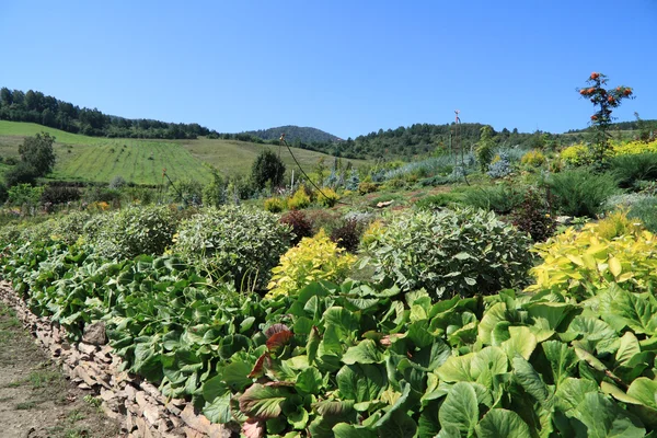 Decorative garden on hills — Stock Photo, Image