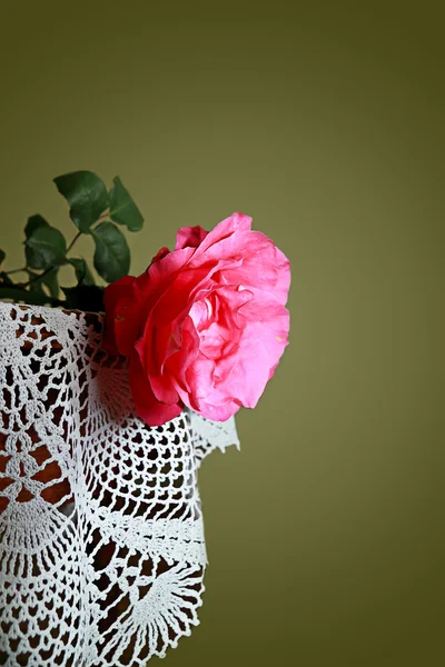 Scarlet rose on a table — Stock Photo, Image