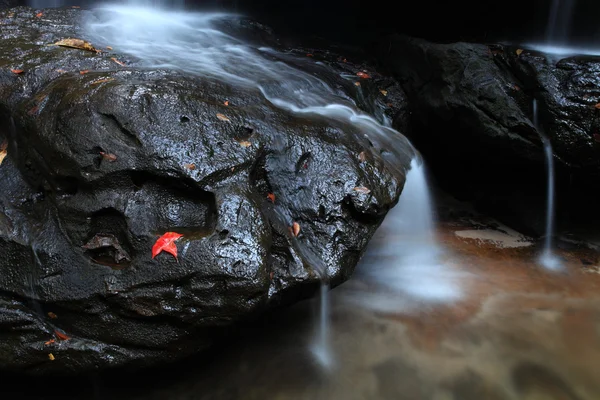 水落 — 图库照片