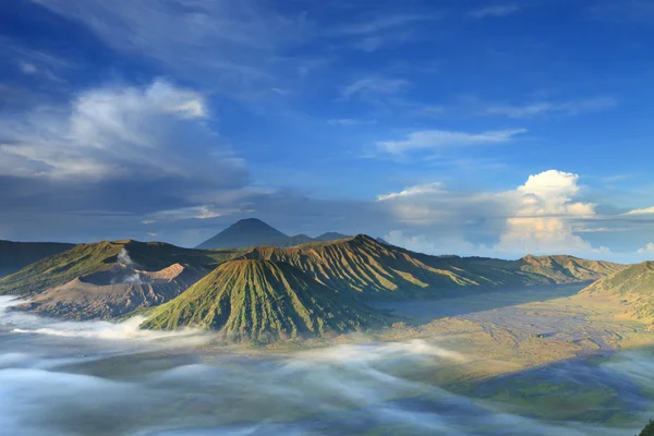 Bromo — Stockfoto