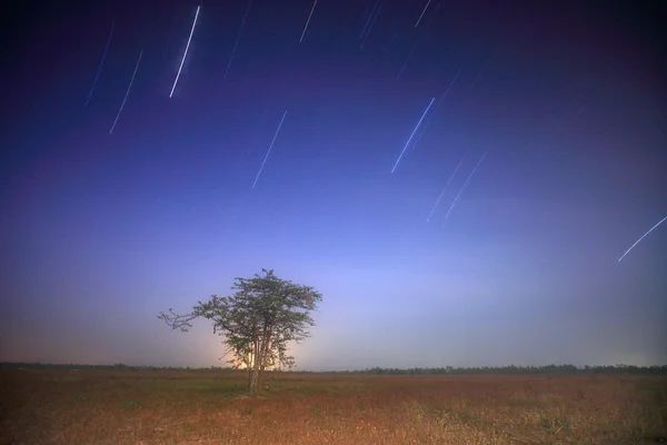 Estrela — Fotografia de Stock