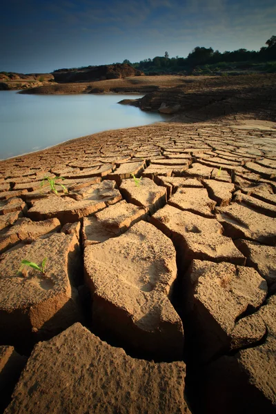 Dry soil — Stock Photo, Image