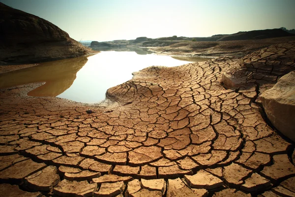 Dry land — Stock Photo, Image