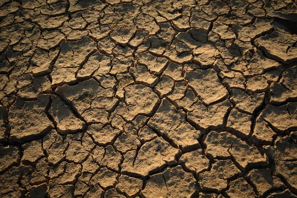 Засушливые земли — стоковое фото