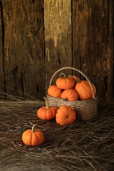 Pumpkin Stock Photo