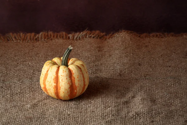 Pumpkin — Stock Photo, Image