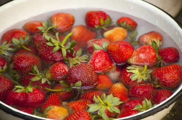 Fresas en agua Fotos De Stock Sin Royalties Gratis