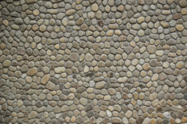 Wall with sea stones