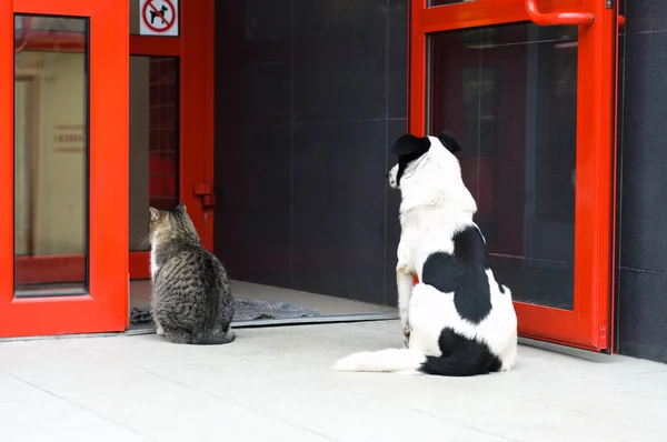 Obdachlose — Stockfoto