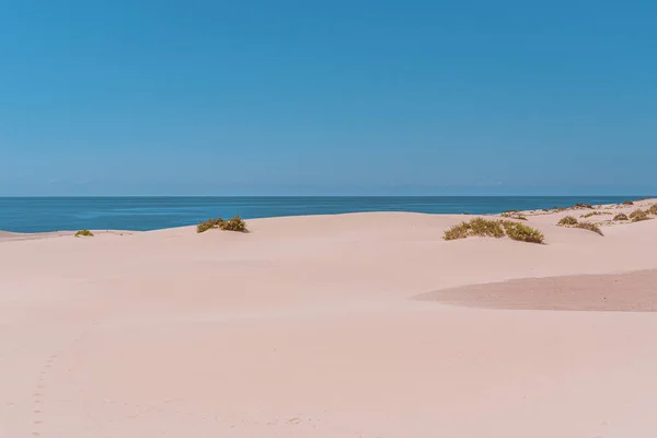 Deserto Dunas Areia Fuerteventura Dunas Corralejo — Fotografia de Stock
