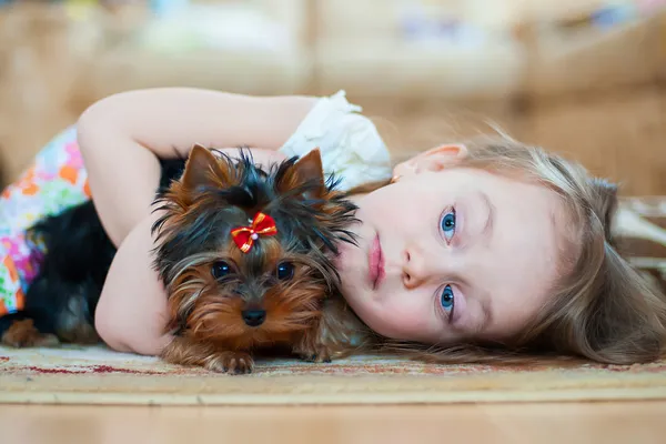 美丽的小女孩微笑着与狗小狗 免版税图库照片
