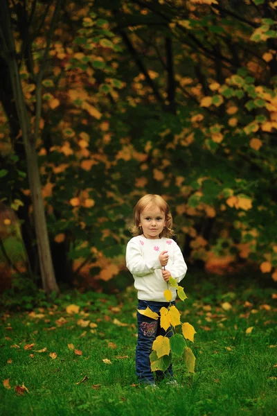 Krásná dívka v parku — Stock fotografie