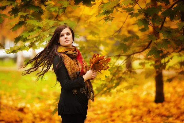 가을 공원에 있는 젊은 여자 — 스톡 사진