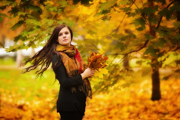 Young woman in autumn park — Stock Photo, Image