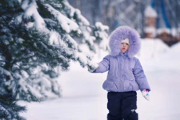 Fille touchant sapin — Photo