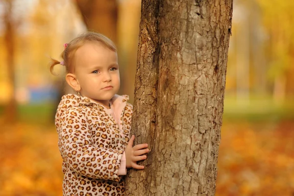 Flicka nära träd i parken — Stockfoto