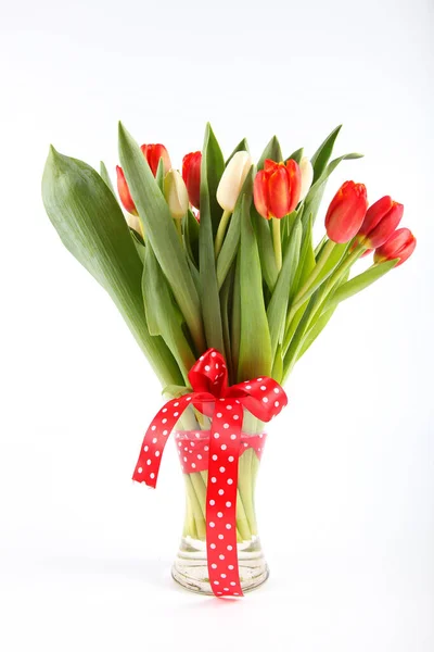 Bouquet of red and white tulips on a light background — Stockfoto