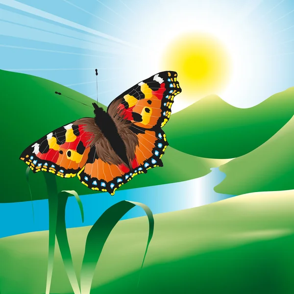 Schmetterling in der Landschaft lizenzfreie Stockillustrationen