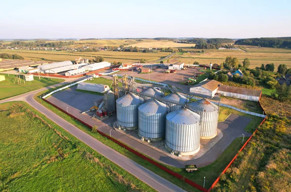 Silo storage at farm. Elevator for storage siliage and grain. Feed Silos Hopper for the storage of wheat and barley. Hay for animal. Storing crops and compound feeds. Agricultural concept.