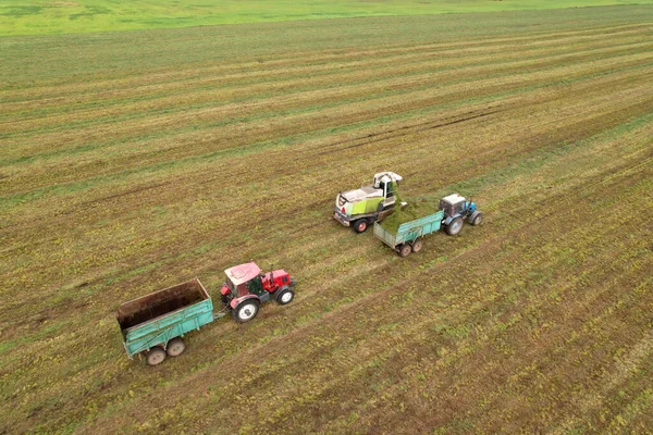 Forage harvester durind grass cutting for silage in field. Harvesting biomass crop. Self-propelled Harvester in agriculture industry. Tractor on Hay making for cattle at Farm. Silage season concept.