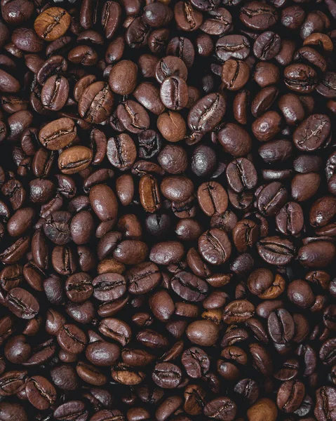 Kávová Zrna Plochá — Stock fotografie