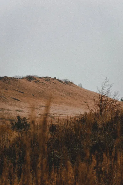 Karpat Dağları 'nda yürüyüş. Retro Grain Fotoğrafçılık.