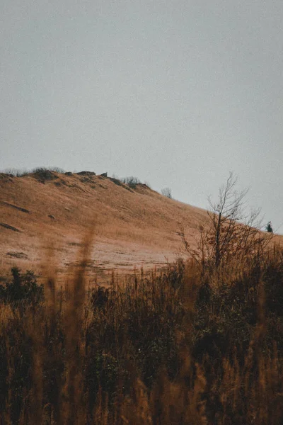 Karpat Dağları Nda Yürüyüş Retro Grain Fotoğrafçılık — Stok fotoğraf