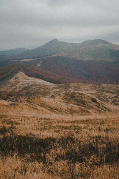 Karpat Dağları 'nda yürüyüş. Retro Grain Fotoğrafçılık.