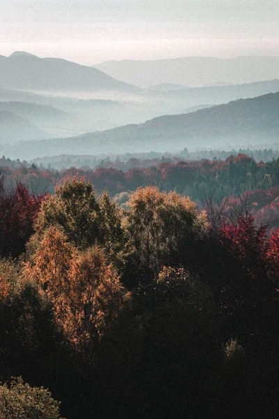 Karpat Dağları 'nda yürüyüş. Orman Retro Tahıl Fotoğrafçılığı.