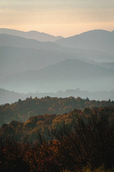 Hiking Carpathian Mountains Forests Retro Grain Photography — ストック写真