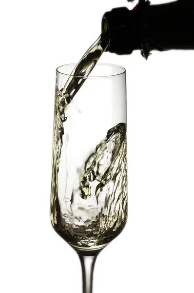 Splashing champagne isolated on white background — Stock Photo, Image