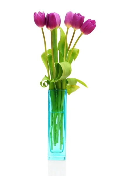 Tulips in vase isolated — Stock Photo, Image
