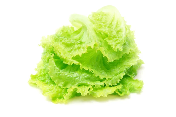 Lattuga verde fresca isolata — Foto Stock